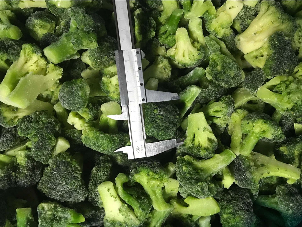 Frozen Vegetables IQF Broccoli Floret 2-4cm, 3-5cm, Broccoli Cut