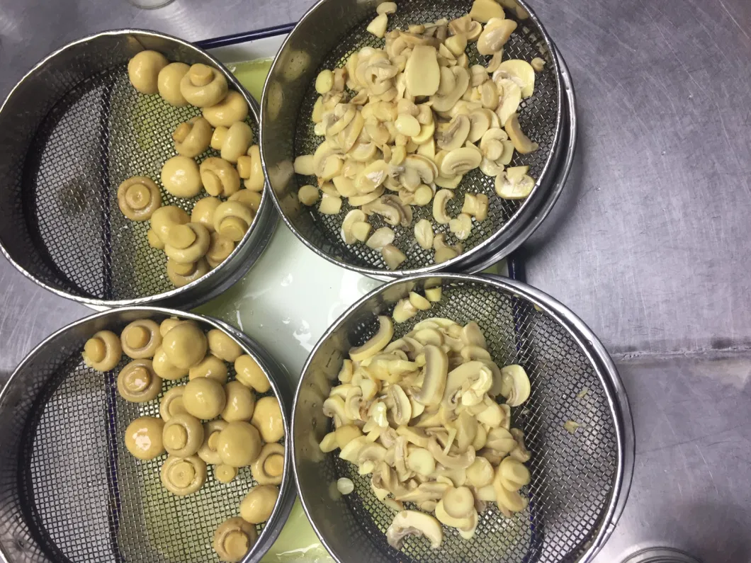 Canned Champignon Mushroom Pieces in Brine in Tins