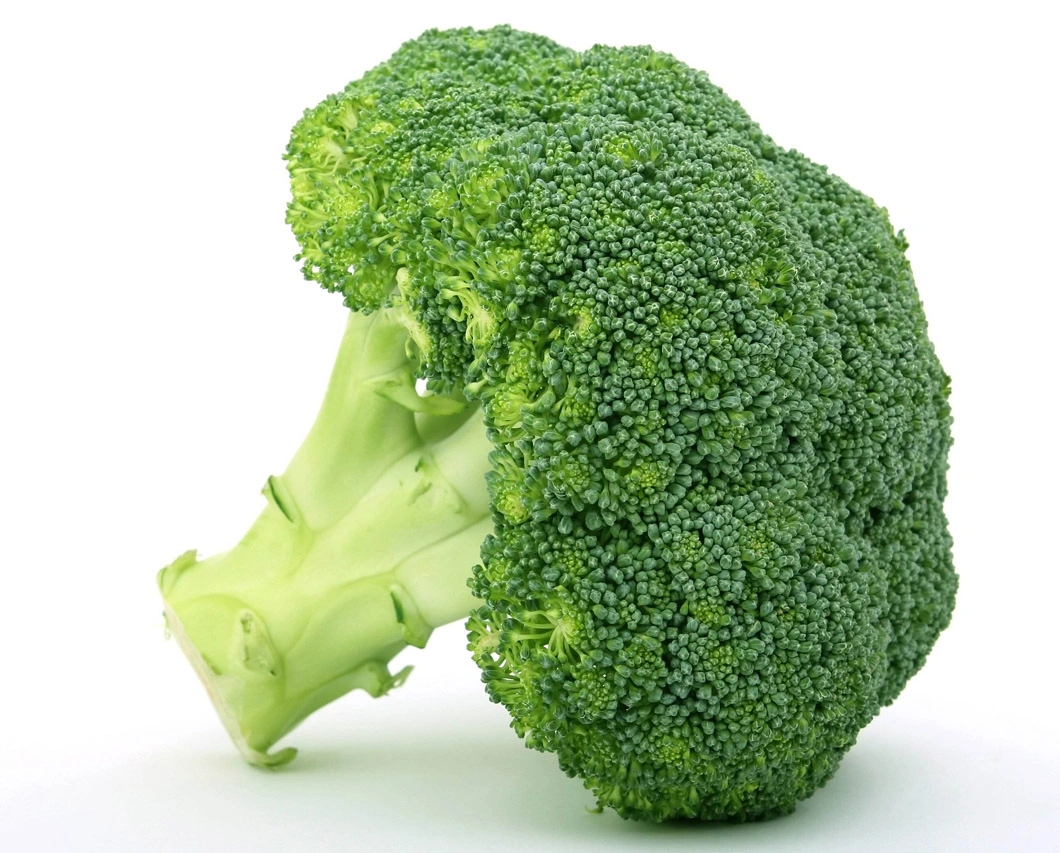 Frozen Vegetables IQF Broccoli Floret 2-4cm, 3-5cm, Broccoli Cut