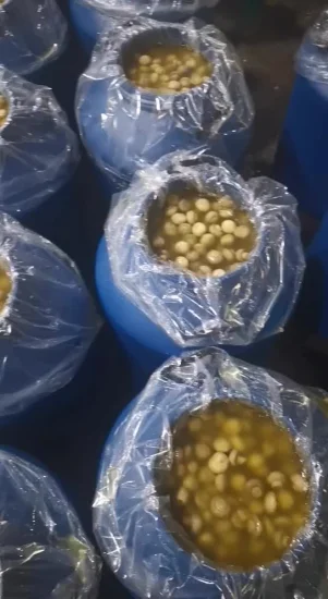 Cogumelo Champignon em Salmoura, Embalagem So2 em Saco Plástico, em Tambor