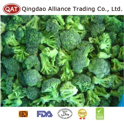 China fabricante orgânico fábrica brócolis verde congelado corte brócolis verde colheita IQF com bom preço