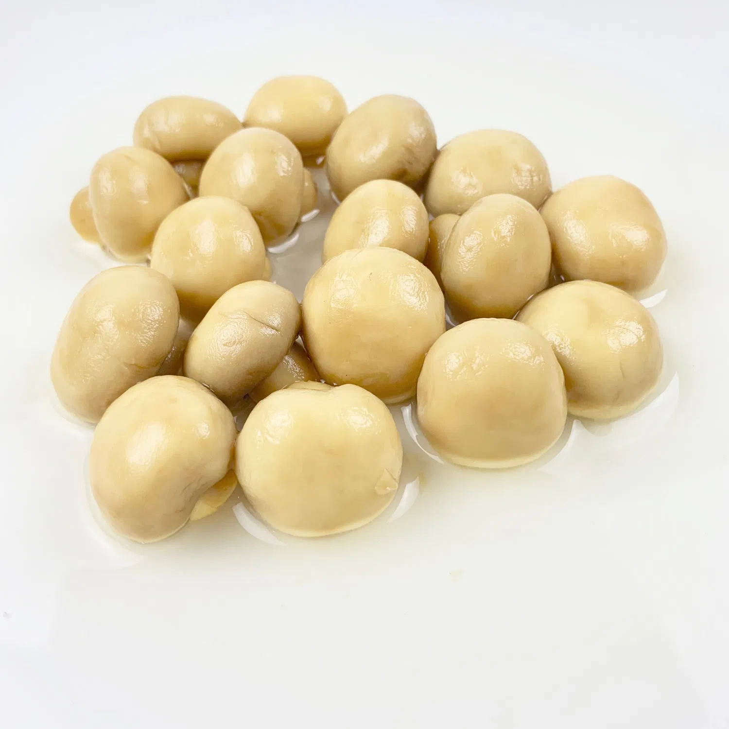 Fatia de cogumelo champignon inteiro enlatado de qualidade superior em tambor de marca própria