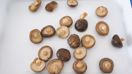 Tampa fácil de abrir e cogumelo Shiitake bem preservado em frasco de vidro