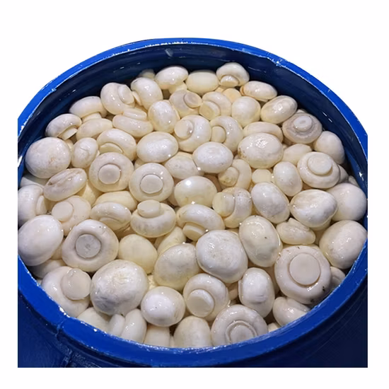 Cogumelo Champignon Salgado em Tambor