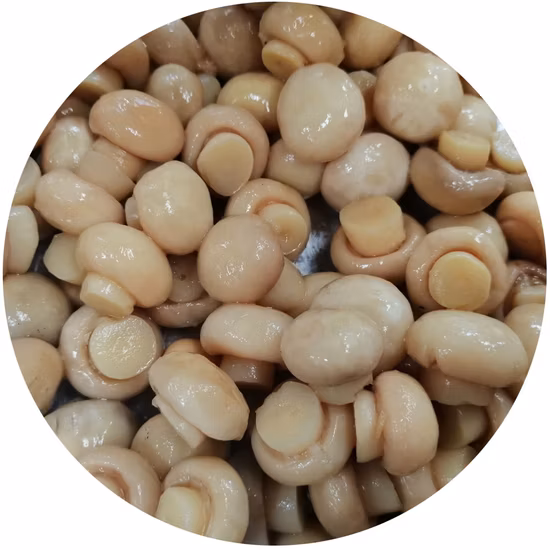 Cogumelo Champignon Enlatado em Salmoura/So2 Pack em Tambor, Inteiro, Fatia